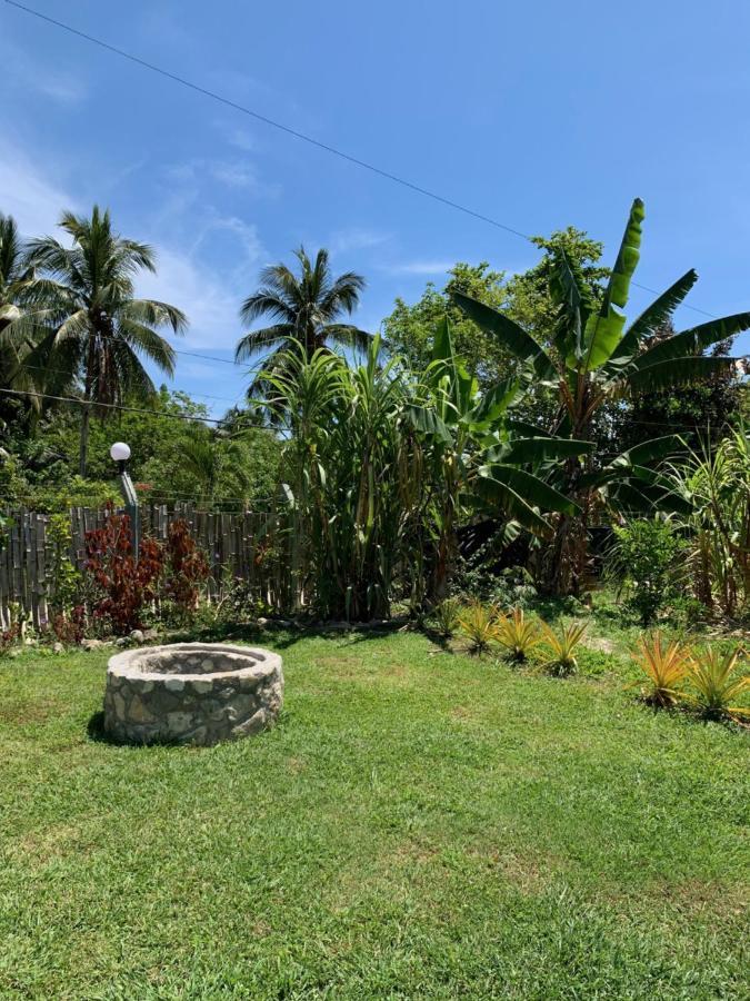 Green Queendom Farm And Lodging Oracabessa エクステリア 写真