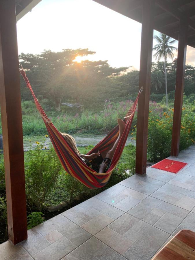 Green Queendom Farm And Lodging Oracabessa エクステリア 写真
