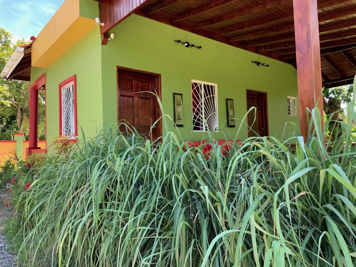 Green Queendom Farm And Lodging Oracabessa エクステリア 写真