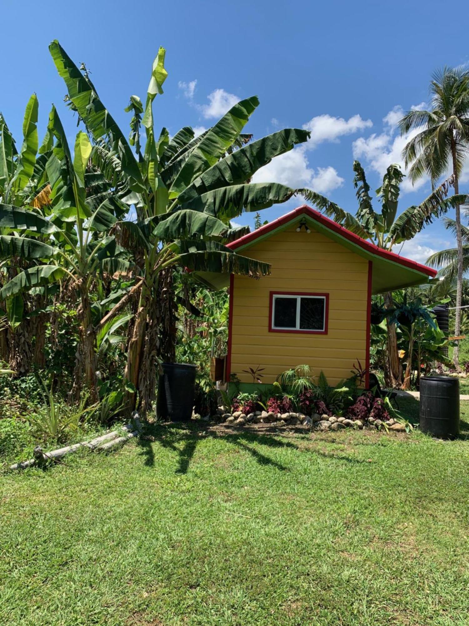 Green Queendom Farm And Lodging Oracabessa エクステリア 写真